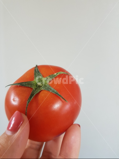 토마토,tomato,채소,과일,빨간색,손,건강음식,토마토하나,사람,인물,인간,human,person,신체일부,몸,body,음식,식재료,요리,food,cook,meal,dishes,food reserves,과일,열매,fruit