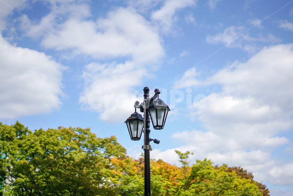 가을,fall,구름,하늘,sky,자연,풍경,nature,landscape,lamp post,램프 포스트