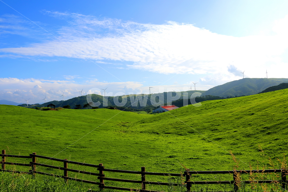 초원,대관령,목장,풍경,구름,자연,풍경,nature,landscape,한국자연풍경,한국자연경관,korea nature landscape,outdoors,옥외,field,들,grassland,목초지,farm,농장,rural,농촌
