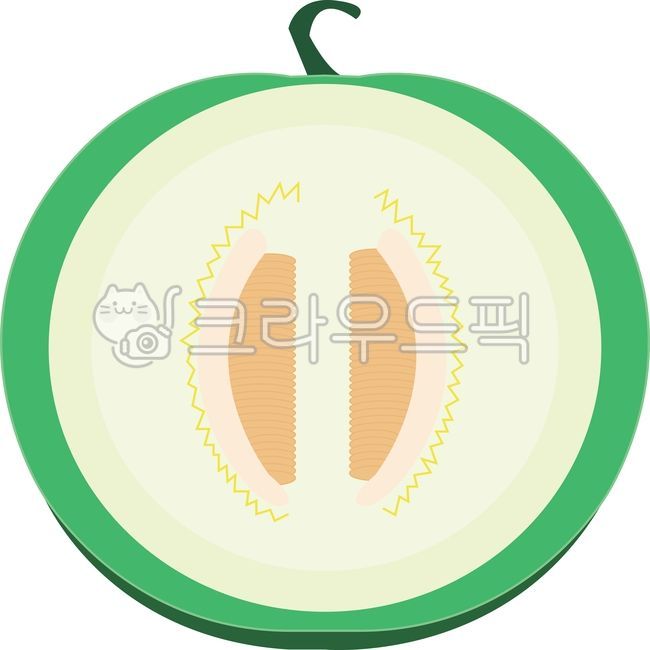 Melon,melon pieces,melon juice,summer fruit,fruit illustration,cross section,cool image,refreshing feeling,tropical fruit,summer food,summer drink,flat illustration,vector style,fruit pattern,green fruit,green drink,bright tone,summer mat