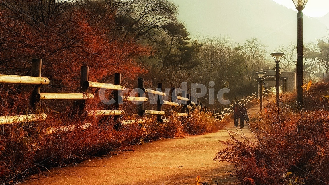 nature,북한산,둘레길,일출,일몰,데이트,연인,오솔길,가로등,자연,풍경,경치,산,빛,햇살,길,landscape,배경,가을색,붉은색,산책로,나무,울타리,목책,tree,plant