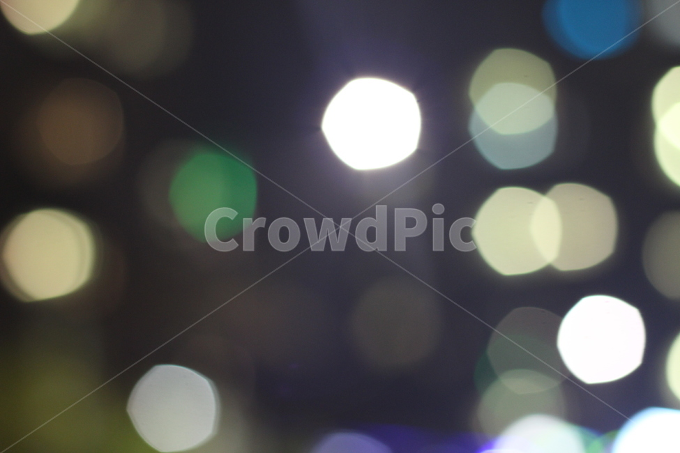 tree,나무,plant,식물,밤풍경,이슬맺힘,이슬,새벽,풍경,어두운,소나무,보케,night,lighting,조명,야경,밤,풍경,nightscape,night,landscape