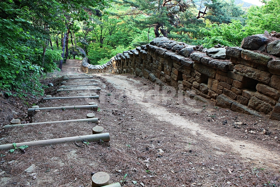 성,전등사,성곽,둘레길,돌담,풍경,배경,자연