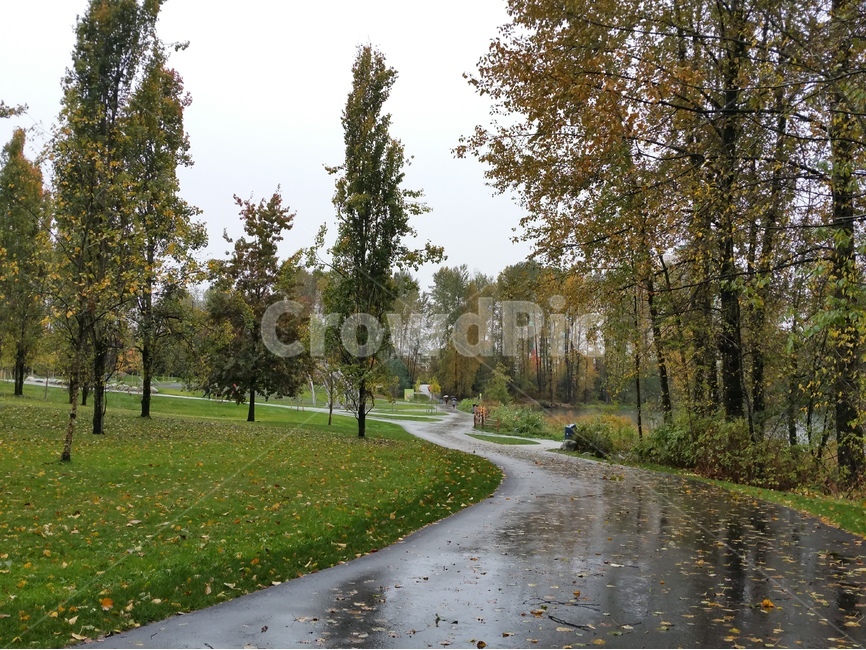 산책길,가을비,빗길,나무,풍경,가을,계절,fall,autumn,season,자연,풍경,nature,landscape,grass,잔디,plant,식물,tree