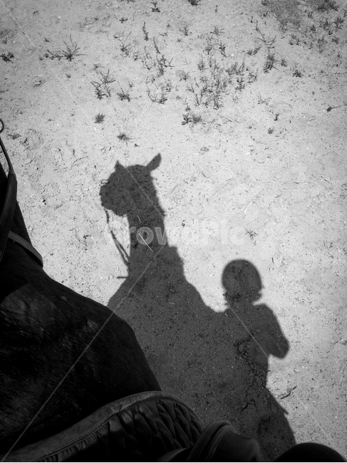 감성,말,동물,사람,그늘,흑백사진,흑백,장애물,승용마,실루엣,그림자,silhouette,shadow