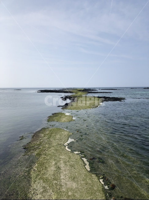 제주도바다,자연,sea,nature,바다