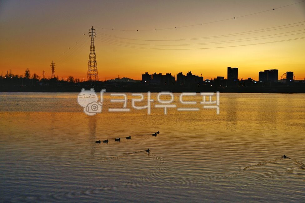 도심,석양,일몰,강물,철탑,전기,새,오리,건축물,옥외,nature,강,자연