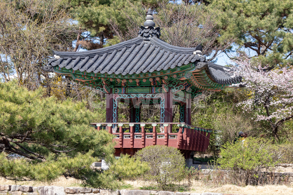 정자,공원,사찰,호수,사각정,네모정,네모정자,사각정자,봄,봄공원,한국전통,한국문화,korean traditional,korean culture,건축물,건물외관,exterior,building,structure,architecture,construction