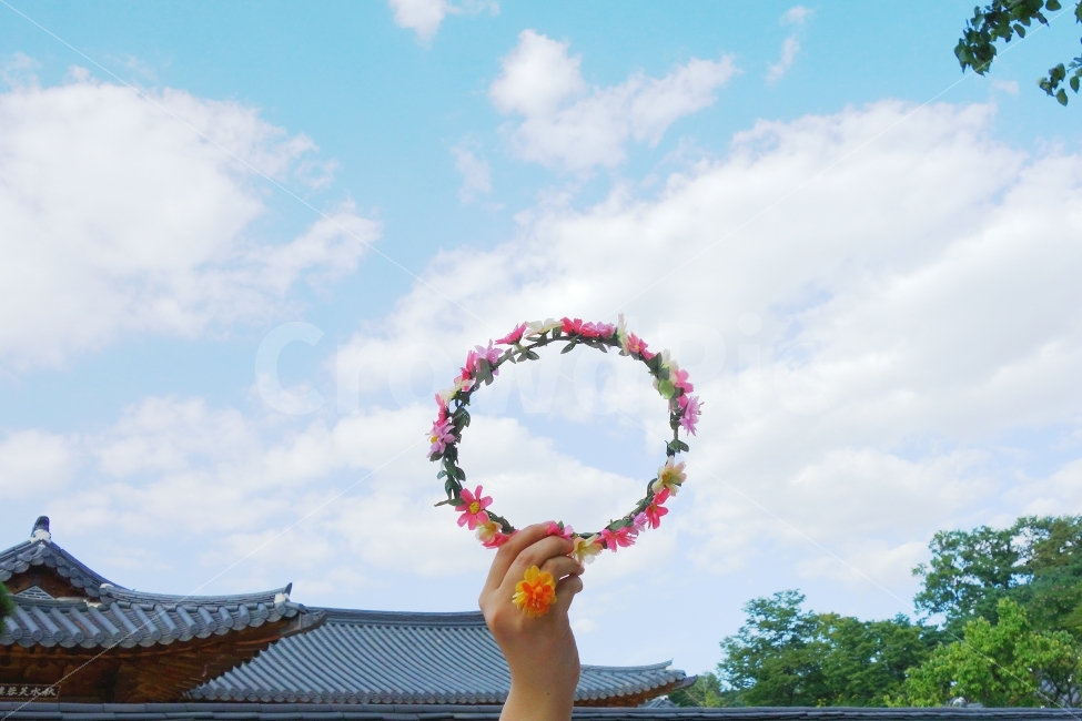 궁,꽃,감성사진,풍경사진,손,소녀,하늘,자연,가을,감성,GIRL,FLOWER,식물,자연,plants,nature,꽃,flower,한국전통,한국문화,korean traditional,korean culture,사람,인물,인간,human,person,연출,컨셉,콘셉,direction,concept
