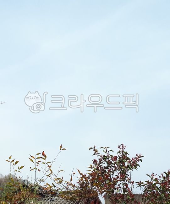 atmosphere,clean background,sky background,clear background,bright,vegetation,Clean,background paper,spring flowers,atmospheric,plants,tile roof,neat,Emotion,sky,border,nature,clear sky,clear,clean,nature background,flower,Emotional photo,natural backgrou