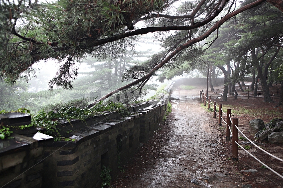 남한산성,성,성곽,숲,숲길,안개,돌,돌담,길,둘레길
