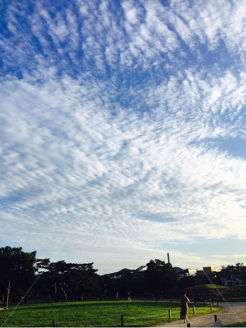 하늘,공원,구름,자연,해질녘,자연,풍경,nature,landscape,outdoors,옥외,sky