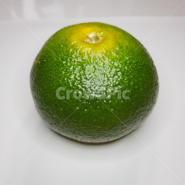 감귤류과일,식품,food,귤,청귤,과일,열매,fruit