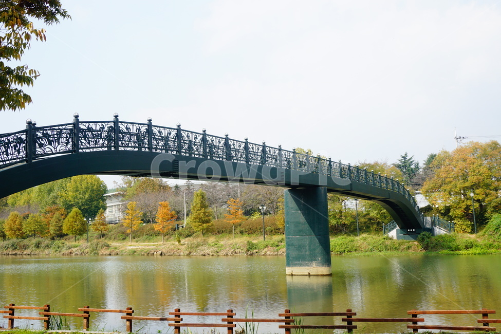 자연,호수,나무,풍경,배경