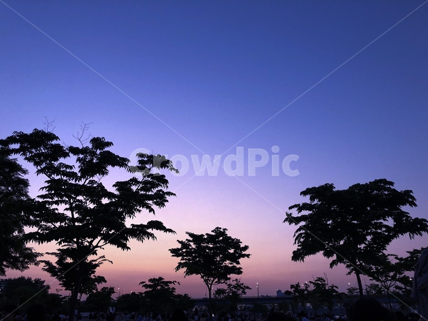 노을,한강,저녁,sunset,하늘,purple,colorful,나무