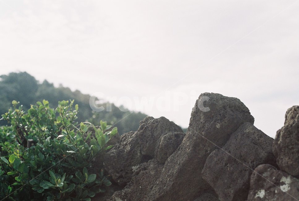 제주,제주도,현무암,감성사진,자연,자연,풍경,nature,landscape