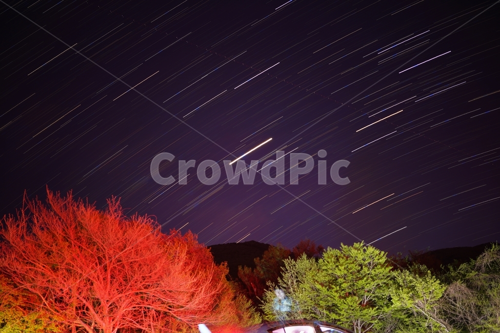 밤하늘,일주,은하수,별일주,별,우주,야경,야경,밤,풍경,nightscape,night,landscape,nature,자연,outdoors,옥외,tree,나무,plant,식물