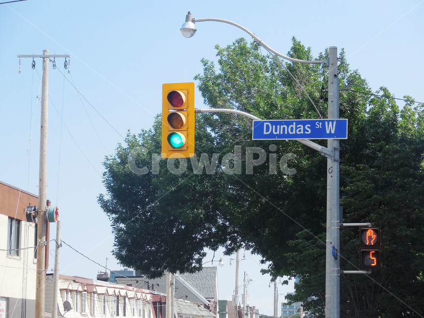 light,빛,trafficlight,신호등,여름