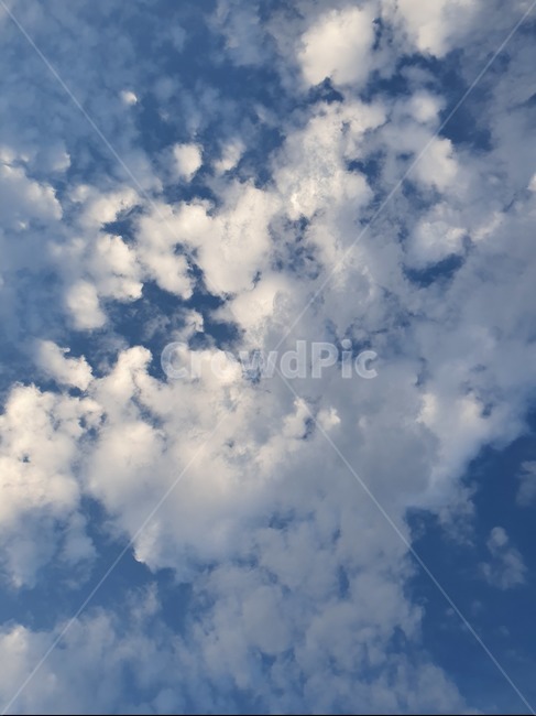 하늘,여름,가을하늘,날씨,자연,cloud,nature,자연,풍경,nature,landscape,outdoors,옥외,sky,azure sky,푸른 하늘,구름