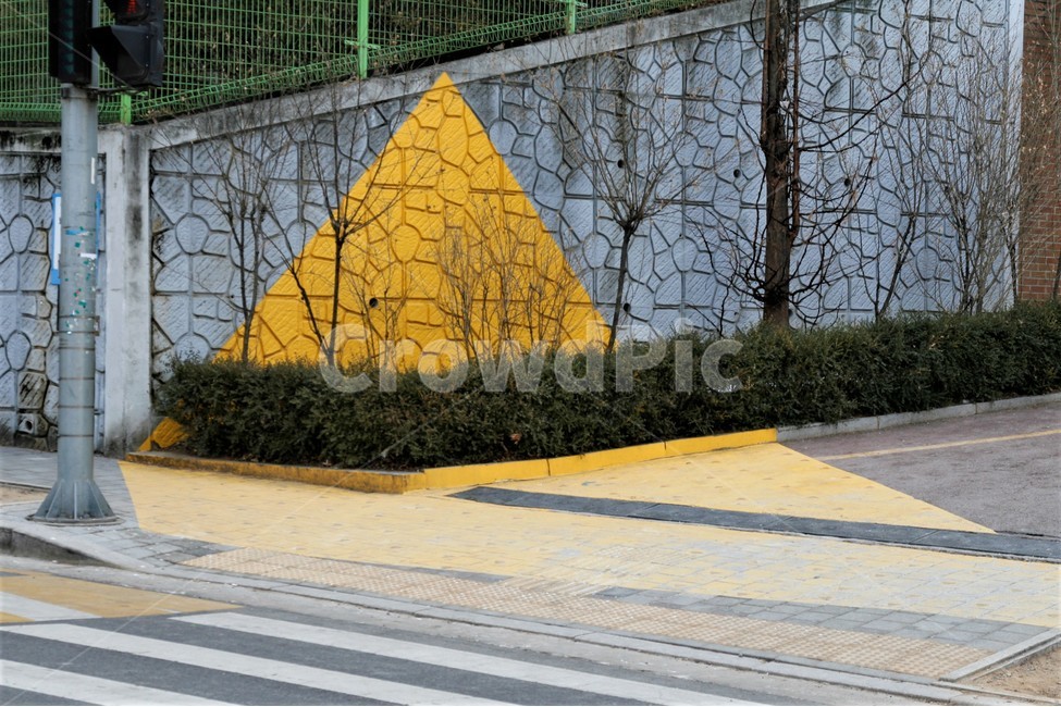 옐로우,노란,카펫,어린이,보호,교통,사고,신호등,예방,초등학교,횡단보도,초등학생,옐로,구역,설치,조성,안전,운전자,시야,교통,교통수단,traffic,transportation