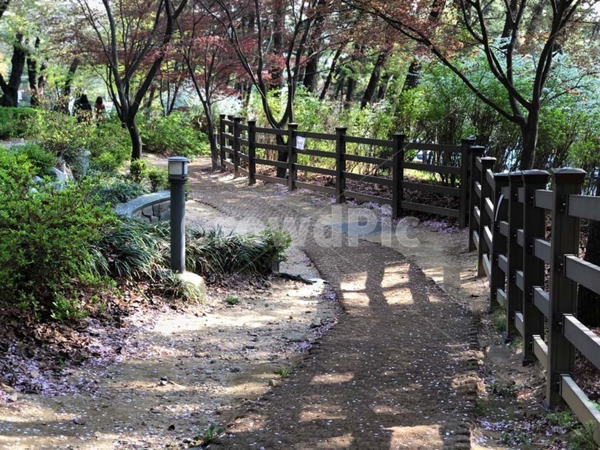 산,산책,풍경,꽃,나무,울창함,공기,건강,숲,공원,자연,휴양림,휴식