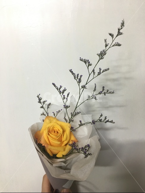 꽃다발,장미,노란장미,꽃꽂이,꽃,식물,blossom,flower