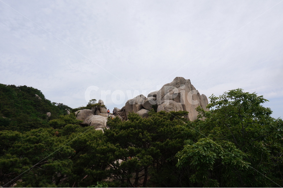 바위,용봉산,봄,초록,풍경,맑음,자연,풍경,nature,landscape,한국자연풍경,한국자연경관,korea nature landscape,outdoors,옥외