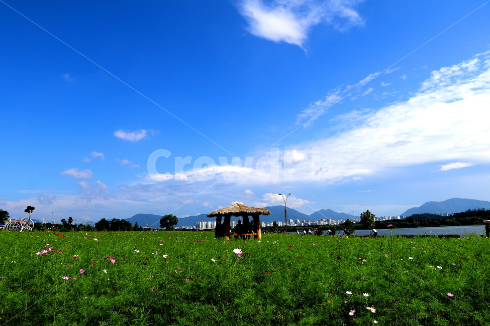 꽃,식물,풍경,가을,구름,가을,계절,fall,autumn,season,자연,풍경,nature,landscape,한국자연풍경,한국자연경관,korea nature landscape,도시,city,한국도시풍경,한국도시경관,korea cityscape,outdoors,옥외,grassland,목초지,field,들,rural,농촌,building,건물,shelter,피난처,countryside,한 지방