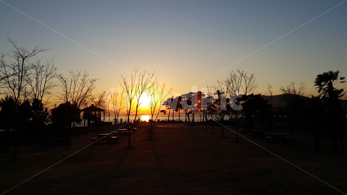 순천,와온해변,일몰,겨울일몰,갯벌,자연,풍경,nature,landscape,outdoors,옥외,flare,플레어,light,빛,sunlight,햇빛,sky,하늘,sunset,dusk,황혼,dawn,새벽,red sky,붉은 하늘