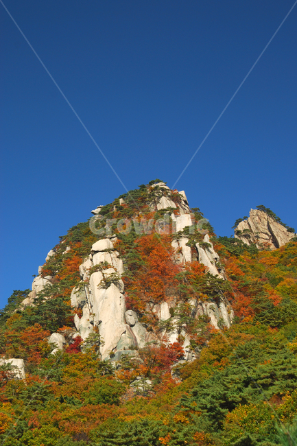 도봉산,산,단풍,가을,계절,풍경,자연,나무,숲,산림,삼림,봉,봉우리,산봉우리,등산,바위,바위산,절경,국립공원,하늘,서울,한국,가을,계절,fall,autumn,season,자연,풍경,nature,landscape,한국자연풍경,한국자연경관,korea nature landscape,cliff,낭떠러지,outdoors,옥외