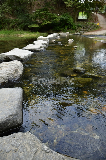 징검다리,냇가,시냇물,물속,내천,강,water,물,outdoors,옥외,nature,작은만,creek,흐름,stream,자연,자연,풍경,nature,landscape,작은 만