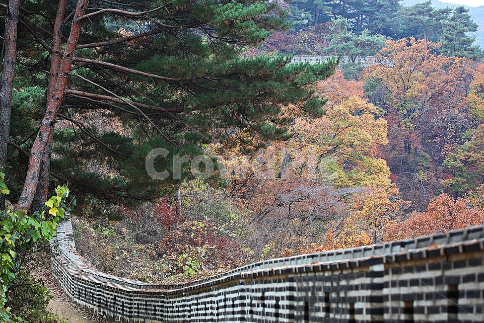 남한산성,성,성곽,단풍,낙엽,길,둘레길,숲,숲길,담,돌담,가을,자연,풍경,벽,울긋불긋,산성,식물,가을,계절,fall,autumn,season