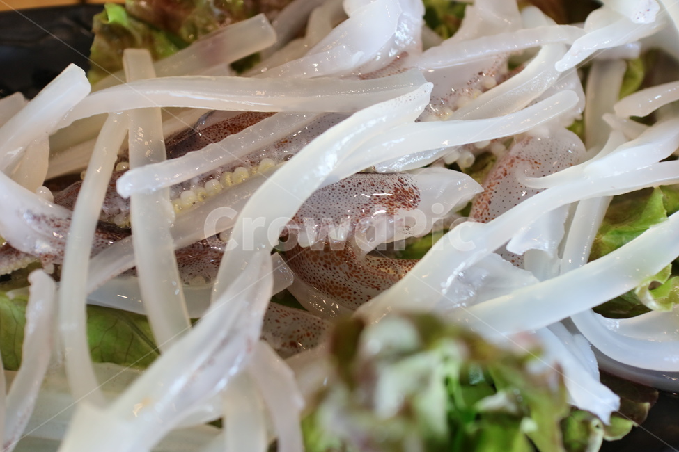오징어회,회사진,오징어,오징어채,횟집,음식,식재료,요리,food,cook,meal,dishes,food reserves,수산물,해산물,fishery products,seafood