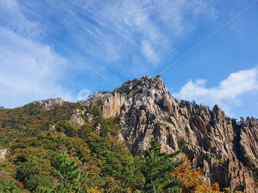 가을,설악산,단풍,국립공원,신선대,자연,풍경,nature,landscape,한국자연풍경,한국자연경관,korea nature landscape,outdoors,옥외,cliff,낭떠러지,tree,나무,plant,식물,fir,전나무