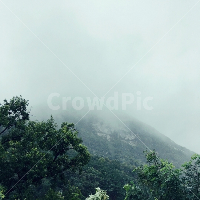 인왕산,산,안개,빗속에서,푸르름,자연,풍경,nature,landscape,한국자연풍경,한국자연경관,korea nature landscape,weather,날씨,outdoors,옥외