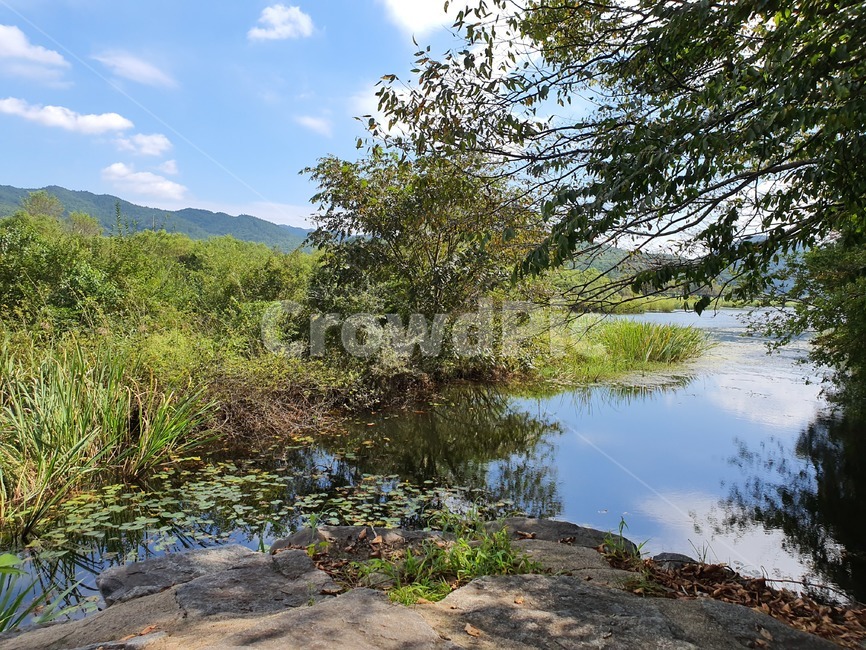 하천,천변가,가을하늘,나무,바위,저수지,자연,땅,물,옥외,stream,sky,nature,land,outdoors,water,tree,rock,자연,풍경,nature,landscape