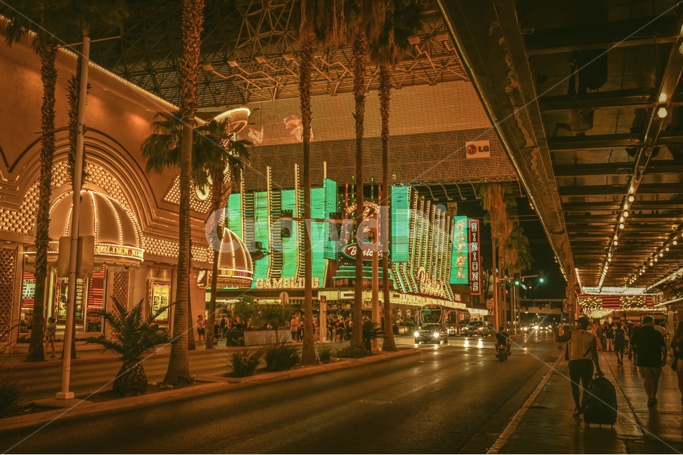 라스베가스,미국,야경,빛,건물,도시,nightview,america,lasvegas,city,building,light