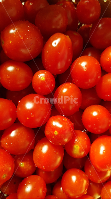 과일,토마토,방울토마토,빨간색,fruit,tomato,패턴,음식,food