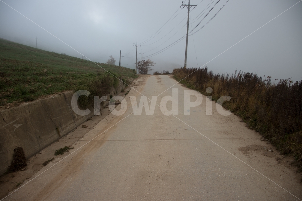 안개,시골길,전신주,언덕,풀,시골,마을,풍경,landscape,country,rural,town