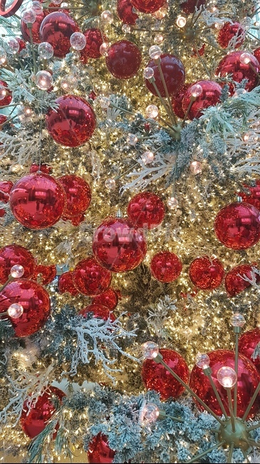 크리스마스,트리,장식,빨강,반짝,christmas,메리크리스마스,성탄절,merry christmas
