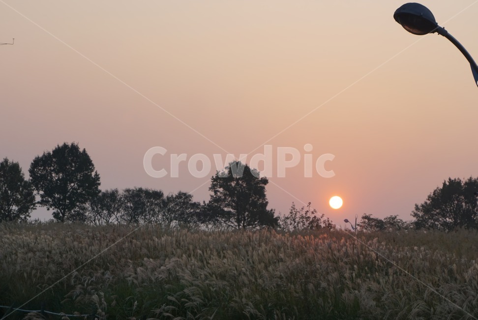 nature,outdoors,옥외,자연,노을,풍경,가을,저녁
