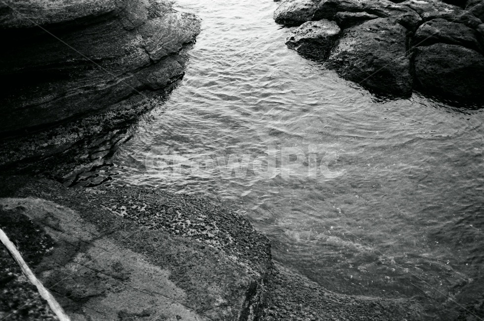 파도,바다,흑백사진,필카,감성,자연,풍경,nature,landscape,흑백,모노톤,monochrome,black and white,water,물,outdoors,옥외
