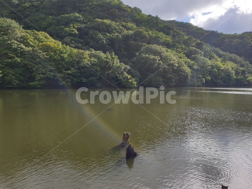 물,nature,자연,청송,outdoors,water,호수,주산지,무지개,옥외,숲