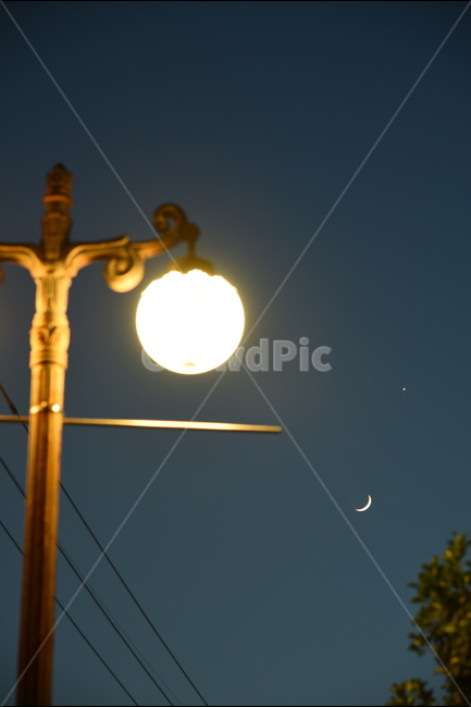 야경,밤,달,가로등,조명,나무,전선,야경,밤,풍경,nightscape,night,landscape,lamp post,램프 포스트