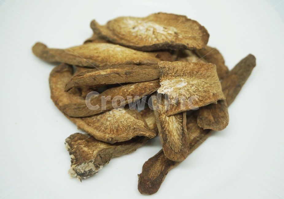 우엉,말린우엉,driedburdock,burdock,plant