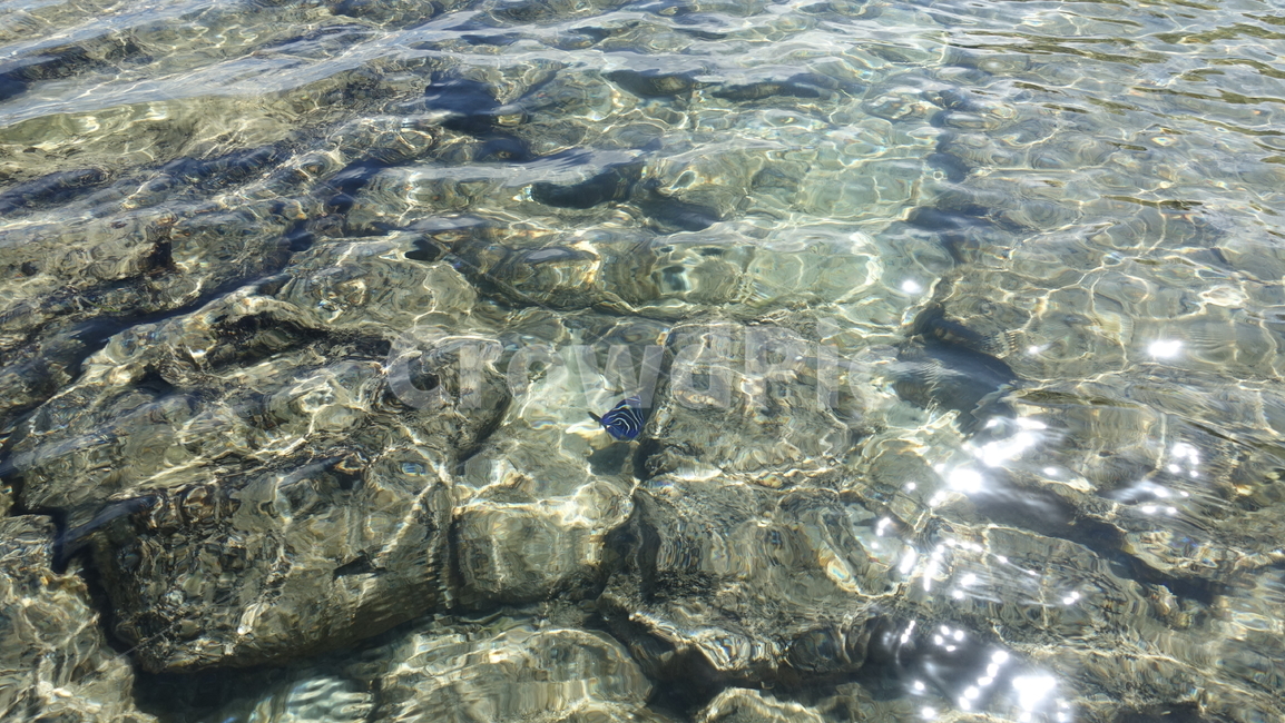 blue,sea,ocean,파란색,바다,전망,자연,nature,aquablue,물,water,물빛,수면