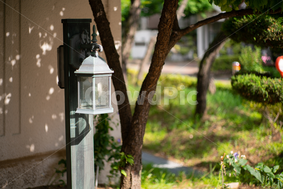 가로등,등불,램프,roadlamp,lamp,빛,light