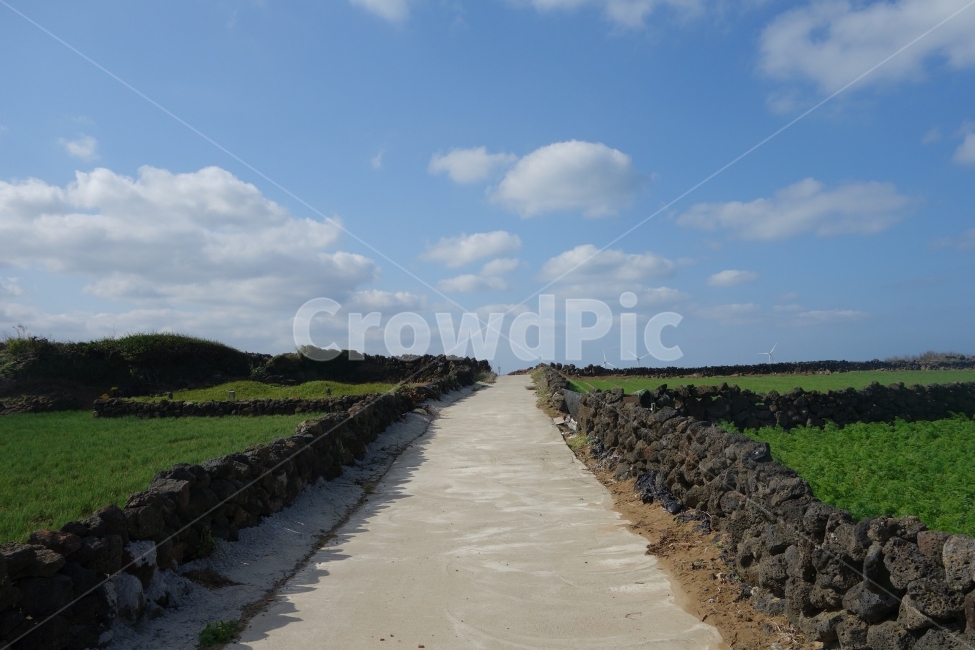 자연풍경,제주도,길,도로,돌,sky,하늘,road,시골풍경,여행,nature,landscape,대중교통,교통수단,traffic,transportation,자연,풍경,nature,landscape,한국자연풍경,한국자연경관,korea nature landscape,제주도,jeju,jeju island