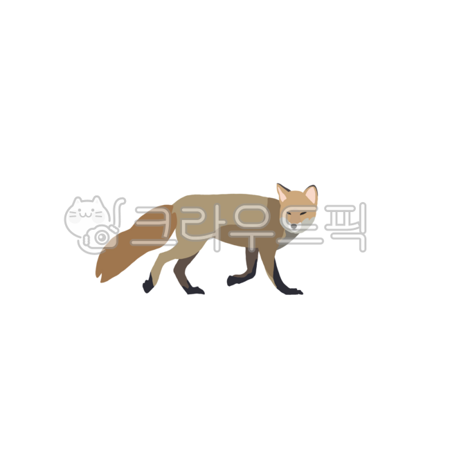 여우,동물,귀여운동물,동물일러스트,animal,fox,vixen,폭스,야생동물,wildlife