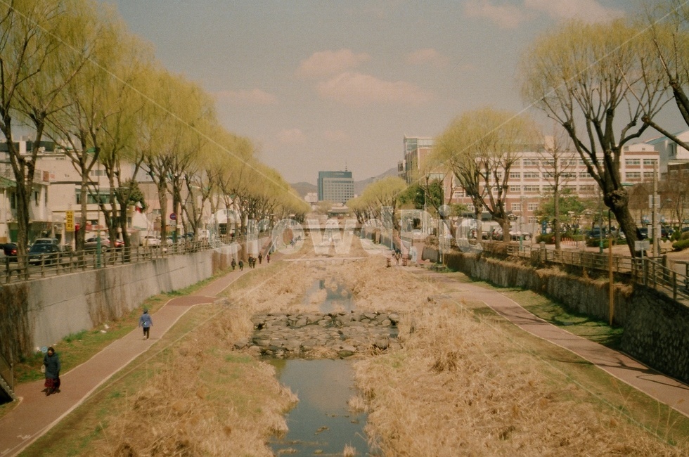하천,강,산책,공원,나무,산책로,도시,풍경,city,landscape